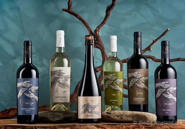 Un brand nou de vinuri în Moldova: Aproape Wine