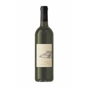 Sauvignon Blanc 2023